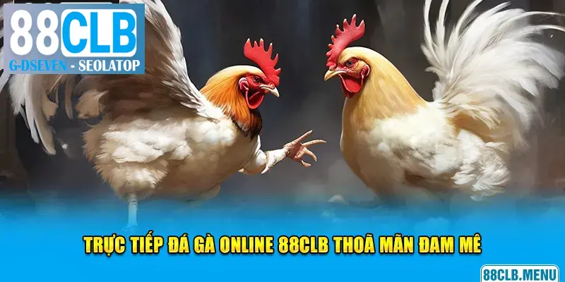 Trực tiếp đá gà online 88CLB thoã mãn đam mê