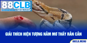 processed 2 giai thich hien tuong nam mo thay ran can 8 11zon