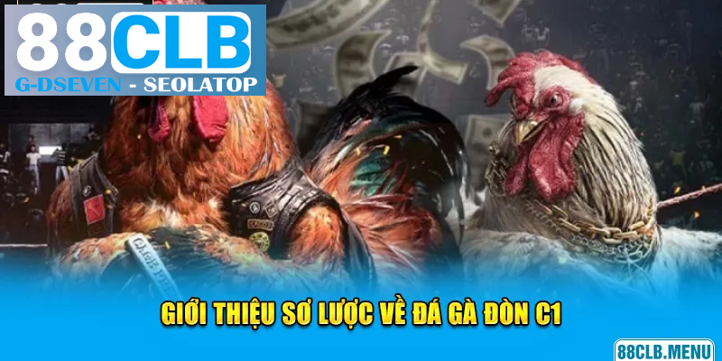 Những điểm cuốn hút của đá gà đòn C1 Những điểm cuốn hút của đá gà đòn C1