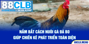 processed 2 nam bat cach nuoi ga da bo giup chien ke phat trien toan dien 10 11zon