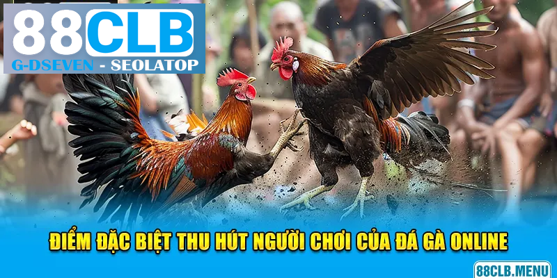4 điểm đặc biệt thu hút người chơi của đá gà online 4 điểm đặc biệt thu hút người chơi của đá gà online