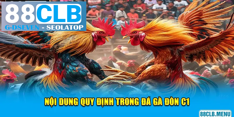 Tất tần tật cách thức tổ chức một ván chọi kê đòn C1 Tất tần tật cách thức tổ chức một ván chọi kê đòn C1