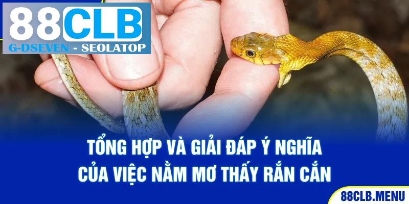 Tổng hợp và giải đáp ý nghĩa của việc nằm mơ thấy rắn cắn