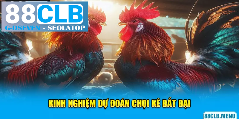 2 kinh nghiệm giúp bạn dự đoán chọi kê bất bại 2 kinh nghiệm giúp bạn dự đoán chọi kê bất bại