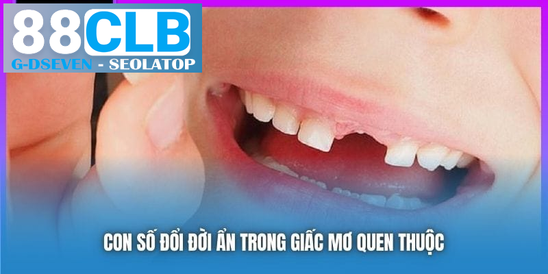 Con số đổi đời ẩn trong giấc mơ quen thuộc Con số đổi đời ẩn trong giấc mơ quen thuộc