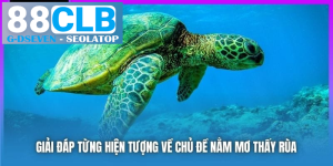 processed giai dap tung hien tuong ve chu de nam mo thay rua
