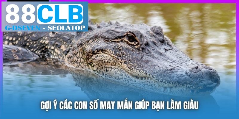 Gợi ý các con số may mắn giúp bạn làm giàu Gợi ý các con số may mắn giúp bạn làm giàu