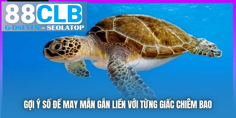 Gợi ý số đề may mắn gắn liền với từng giấc chiêm bao Gợi ý số đề may mắn gắn liền với từng giấc chiêm bao