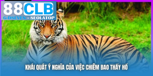 processed khai quat y nghia cua viec chiem bao thay ho