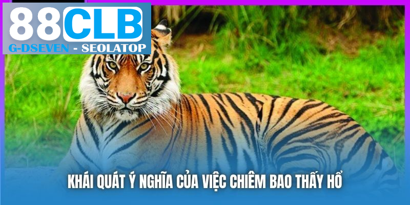 Khái quát ý nghĩa của việc chiêm bao thấy hổ Khái quát ý nghĩa của việc chiêm bao thấy hổ