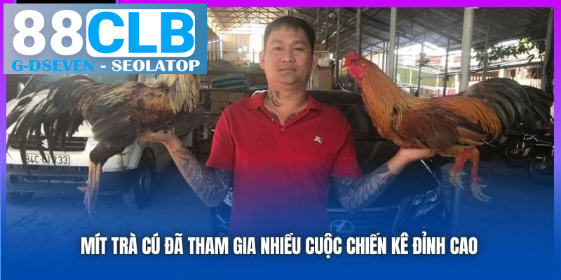 Mít Trà Cú đã tham gia nhiều cuộc chiến kê đỉnh cao Mít Trà Cú đã tham gia nhiều cuộc chiến kê đỉnh cao