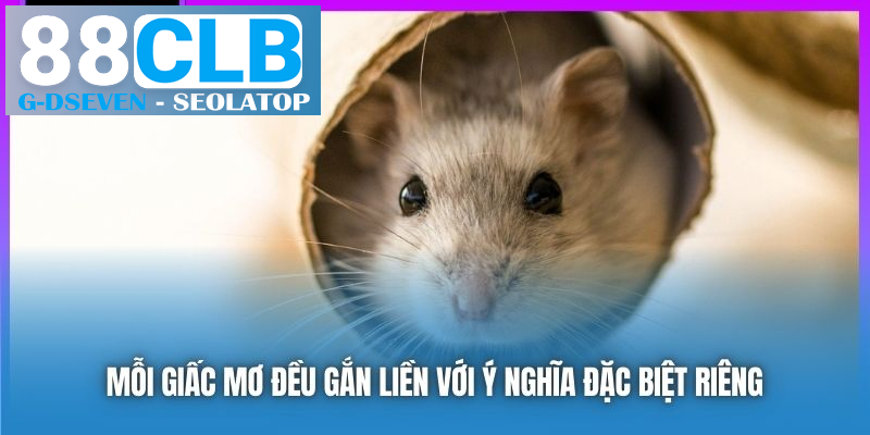 Mỗi giấc mơ đều gắn liền với ý nghĩa đặc biệt riêng Mỗi giấc mơ đều gắn liền với ý nghĩa đặc biệt riêng