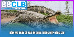 processed nam mo thay ca sau an chua thong diep dang sau