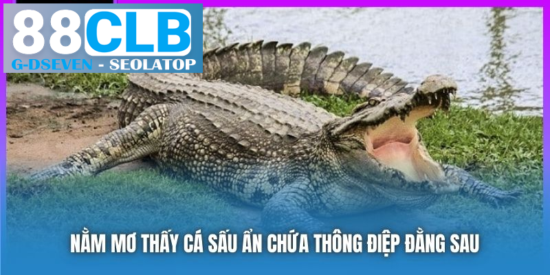Nằm mơ thấy cá sấu ẩn chứa thông điệp đằng sau Nằm mơ thấy cá sấu ẩn chứa thông điệp đằng sau