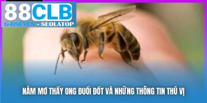 processed nam mo thay ong duoi dot va nhung thong tin thu vi