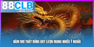 processed nam mo thay rong bay luon mang nhieu y nghia