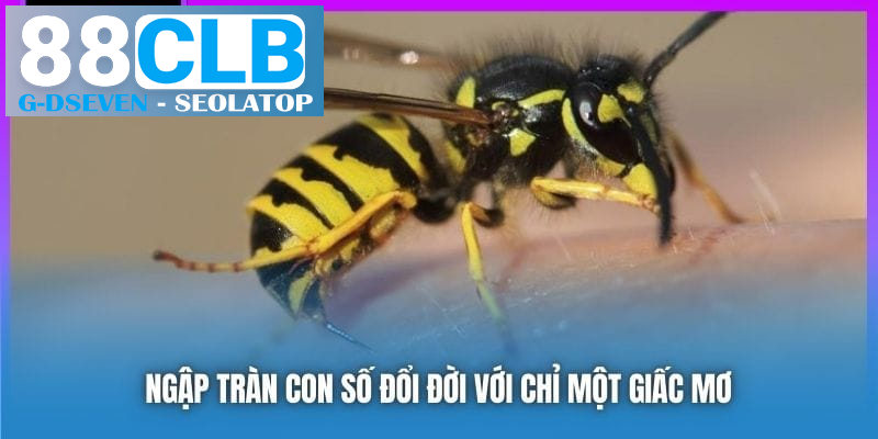 Ngập tràn con số đổi đời với chỉ một giấc mơ Ngập tràn con số đổi đời với chỉ một giấc mơ