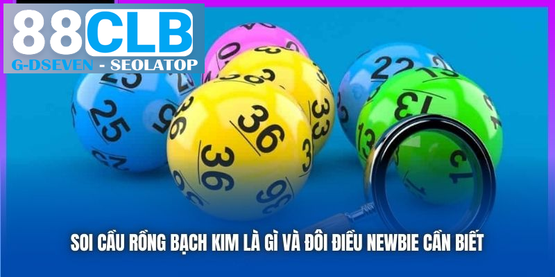 Soi cầu rồng bạch kim là gì và đôi điều newbie cần biết Soi cầu rồng bạch kim là gì và đôi điều newbie cần biết