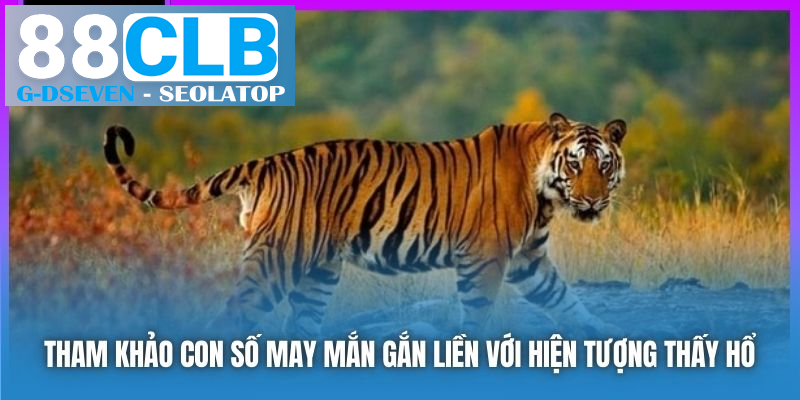 Tham khảo con số may mắn gắn liền với việc nằm mơ thấy hổ Tham khảo con số may mắn gắn liền với việc nằm mơ thấy hổ