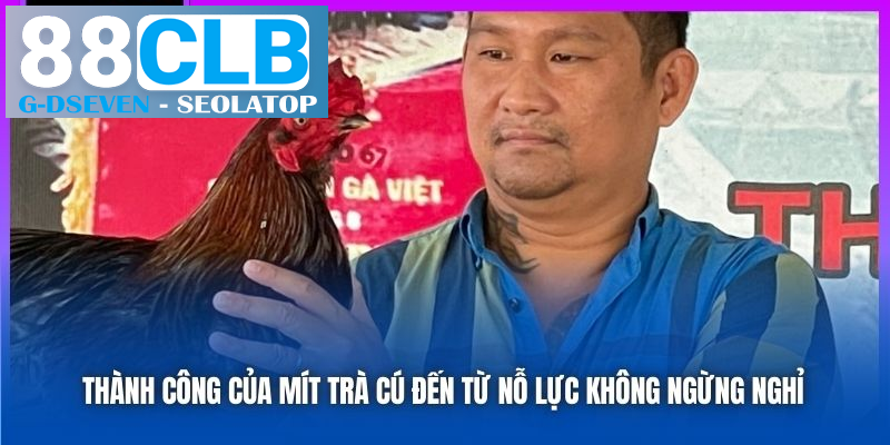 Thành công của Mít Trà Cú đến từ nỗ lực không ngừng nghỉ Thành công của Mít Trà Cú đến từ nỗ lực không ngừng nghỉ