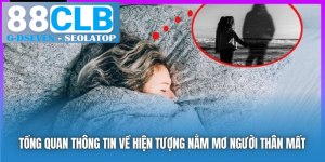 processed tong quan thong tin ve hien tuong nam mo nguoi than mat